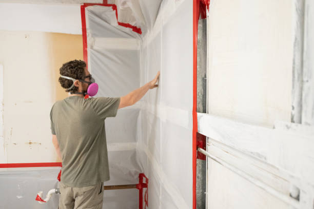 Best Comprehensive Air Testing for Mold Contaminants  in Cordaville, MA