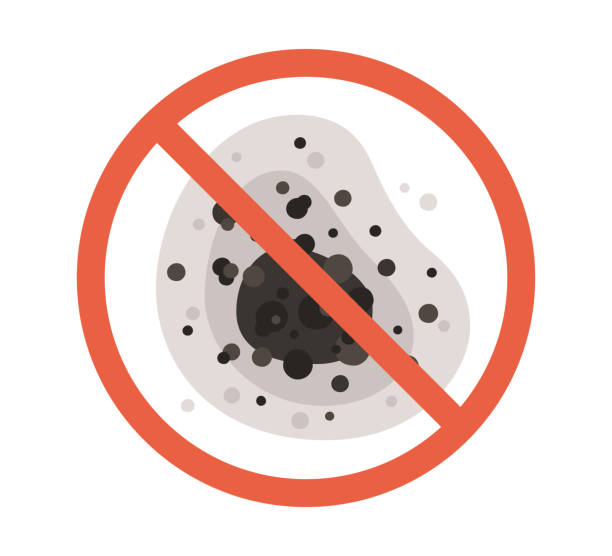 Best Mold Remediation for Healthcare Facilities  in Cordaville, MA
