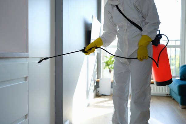 Best Commercial Mold Inspection  in Cordaville, MA